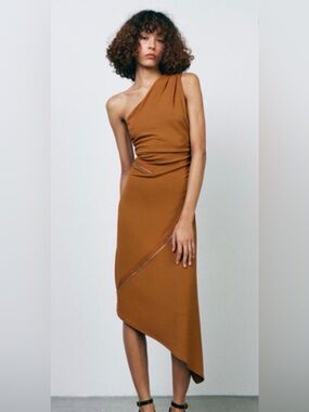 zara brown one shoulder dress Zara One-Shoulder Ruched Dress – Rad Radar main image 0